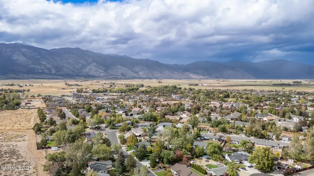 1193 Manhattan Gardnerville NV 89460
