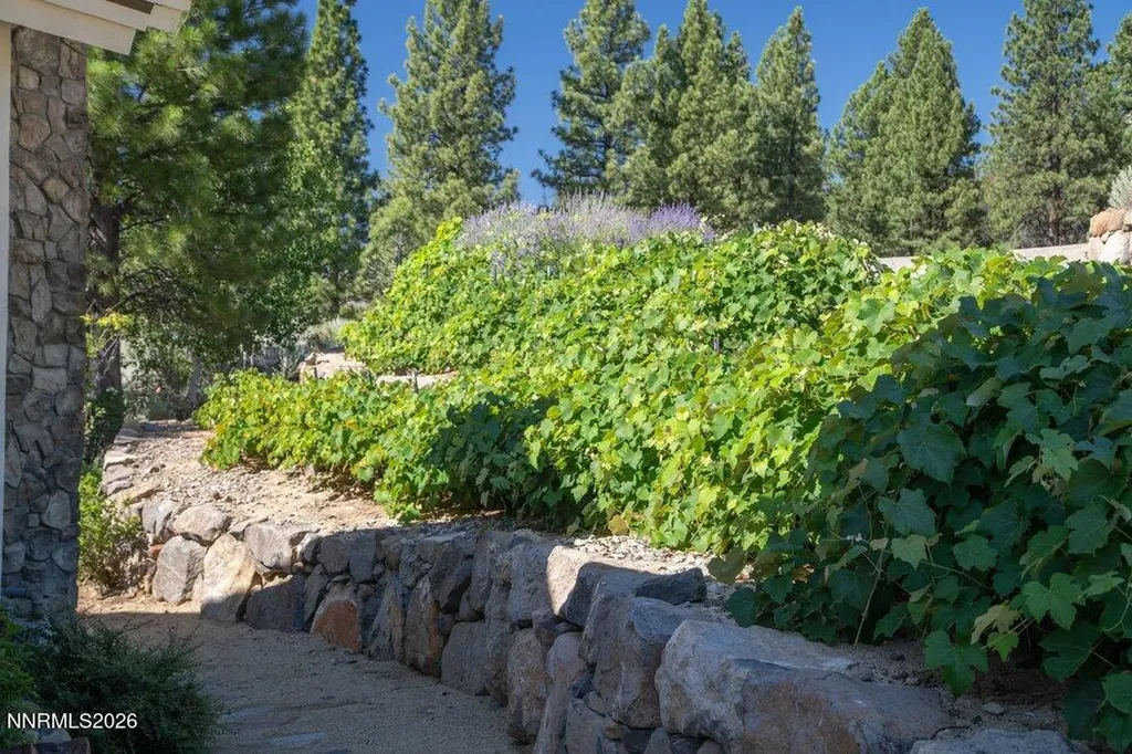 4810 Pinewild Reno NV 89511
