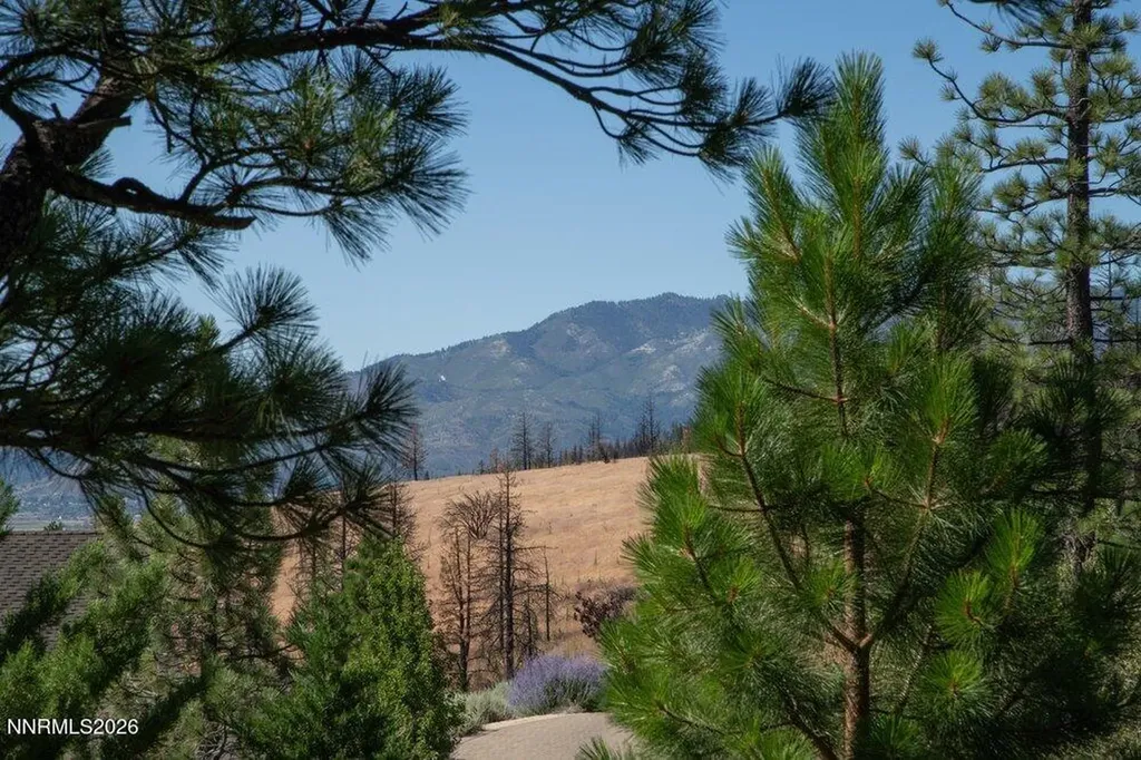 4810 Pinewild Reno NV 89511