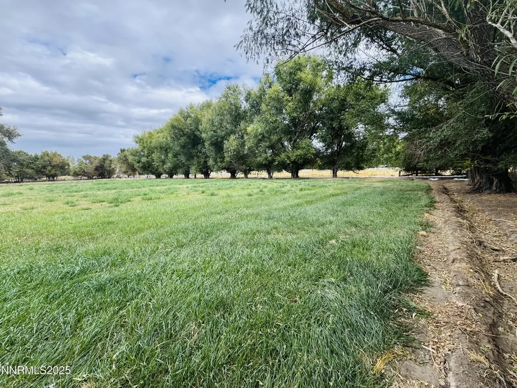 1616 Scoti Gardnerville NV 89410
