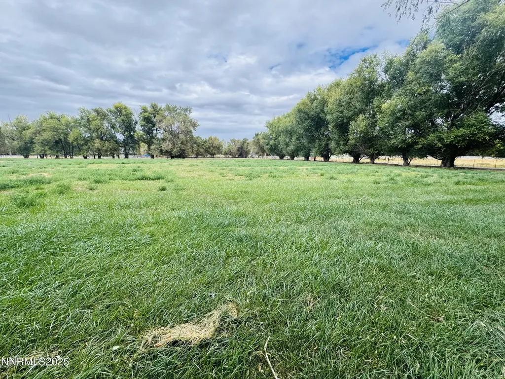 1616 Scoti Gardnerville NV 89410