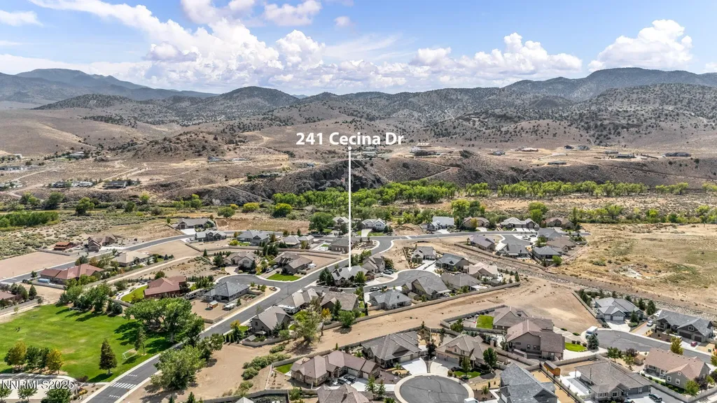 241 Cecina Dayton NV 89403
