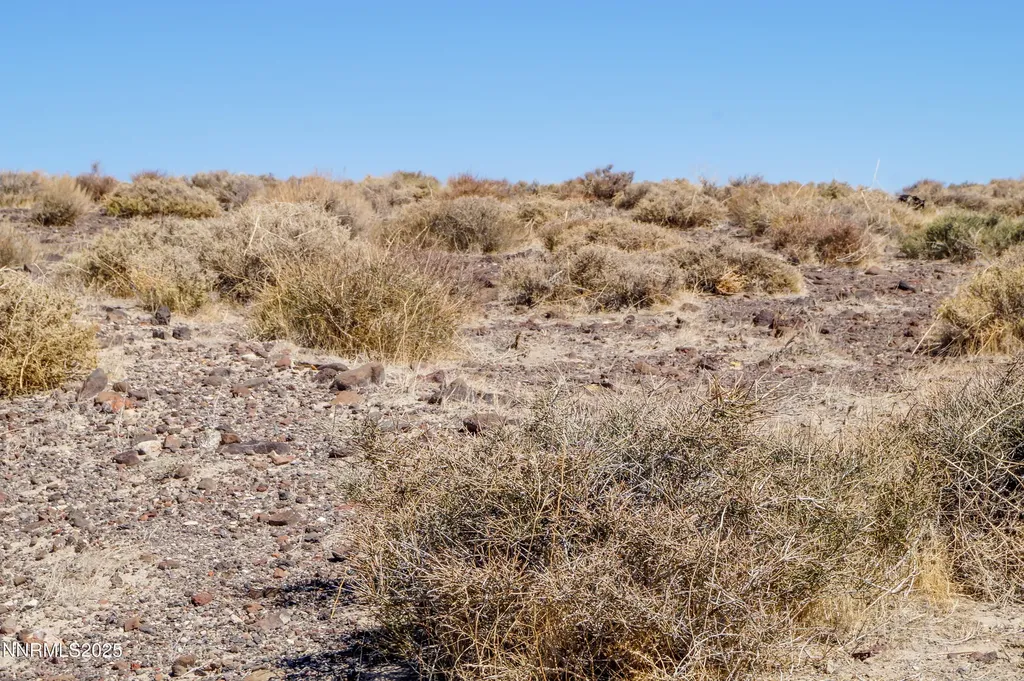 11 Salvage Fernley NV 89408