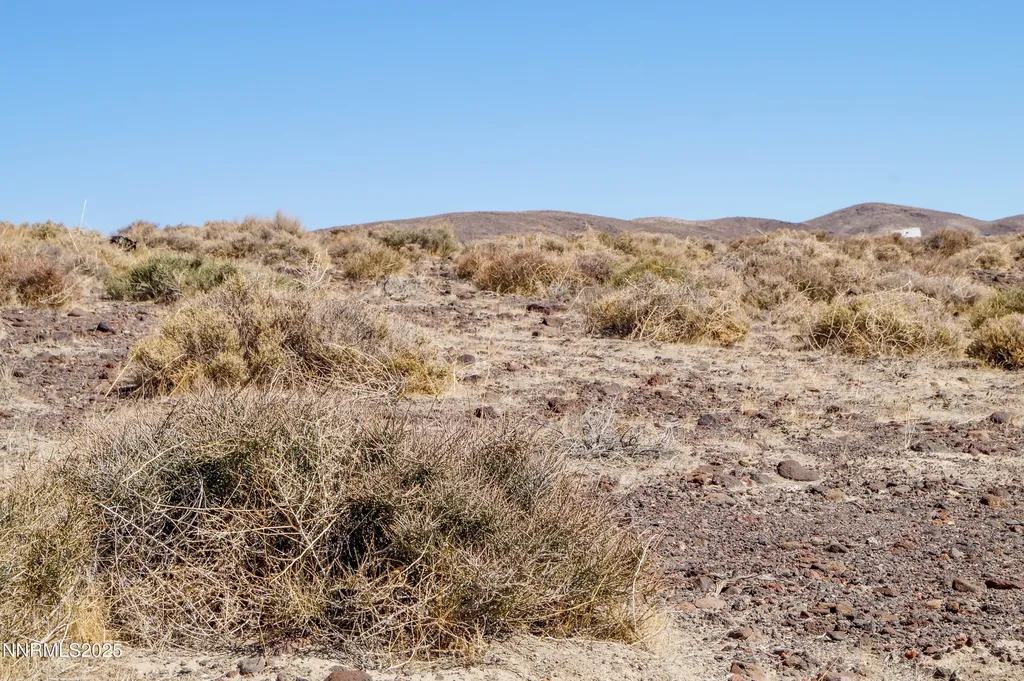 11 Salvage Fernley NV 89408