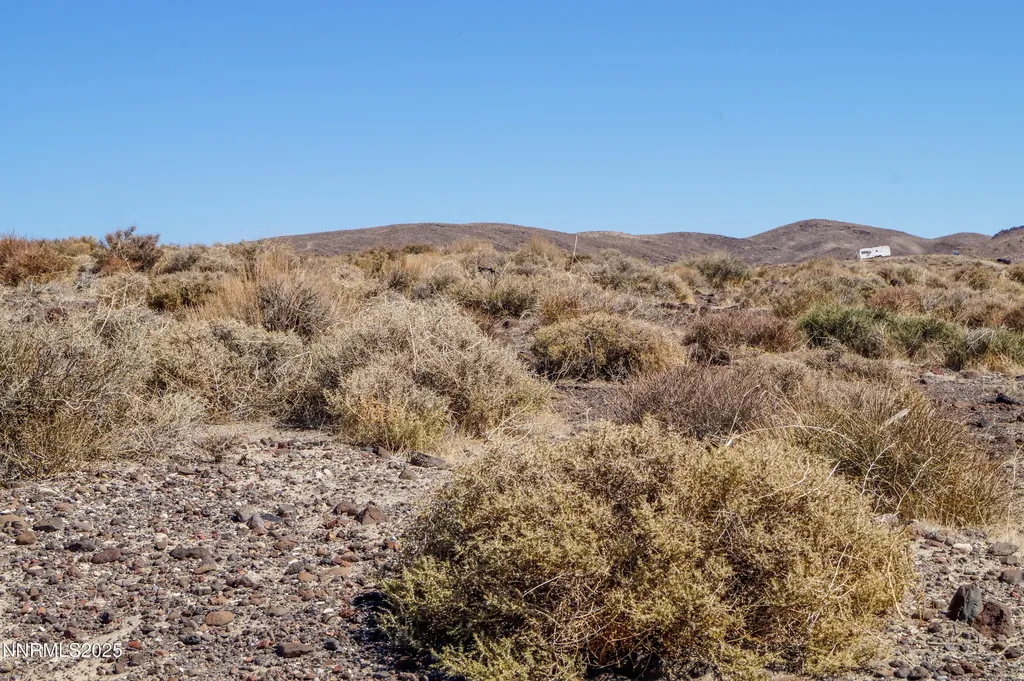 11 Salvage Fernley NV 89408