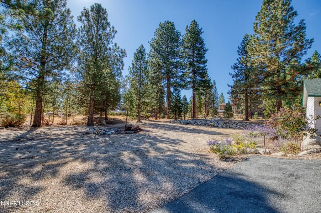 155 Old Mill Washoe Valley NV 89704