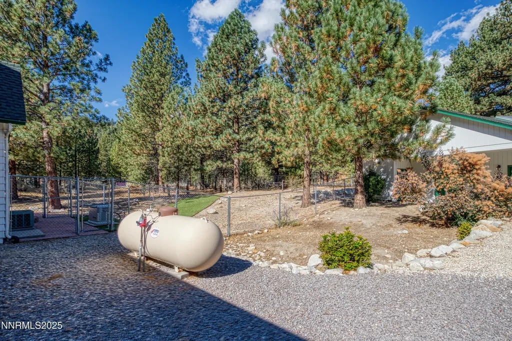 155 Old Mill Washoe Valley NV 89704