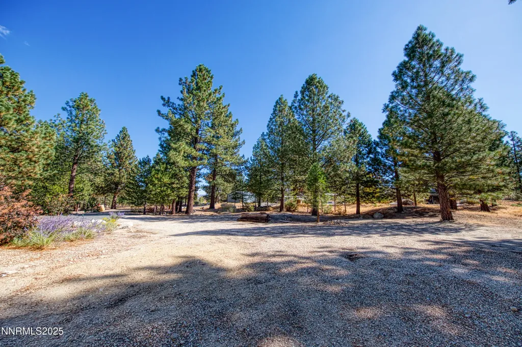 155 Old Mill Washoe Valley NV 89704
