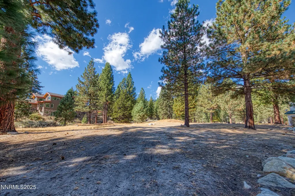 155 Old Mill Washoe Valley NV 89704