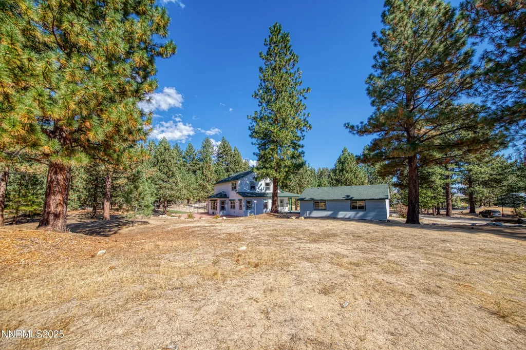 155 Old Mill Washoe Valley NV 89704