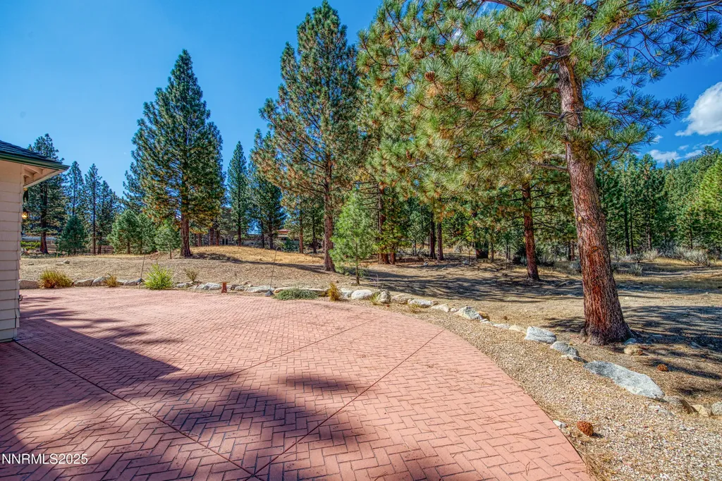 155 Old Mill Washoe Valley NV 89704