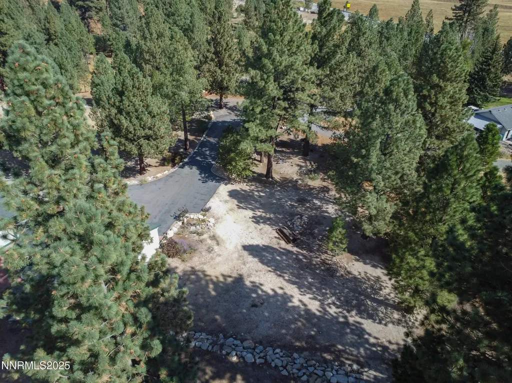155 Old Mill Washoe Valley NV 89704