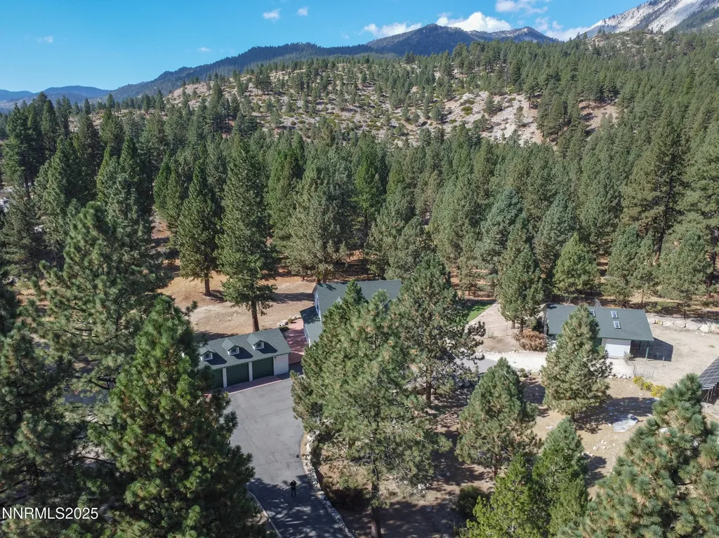155 Old Mill Washoe Valley NV 89704