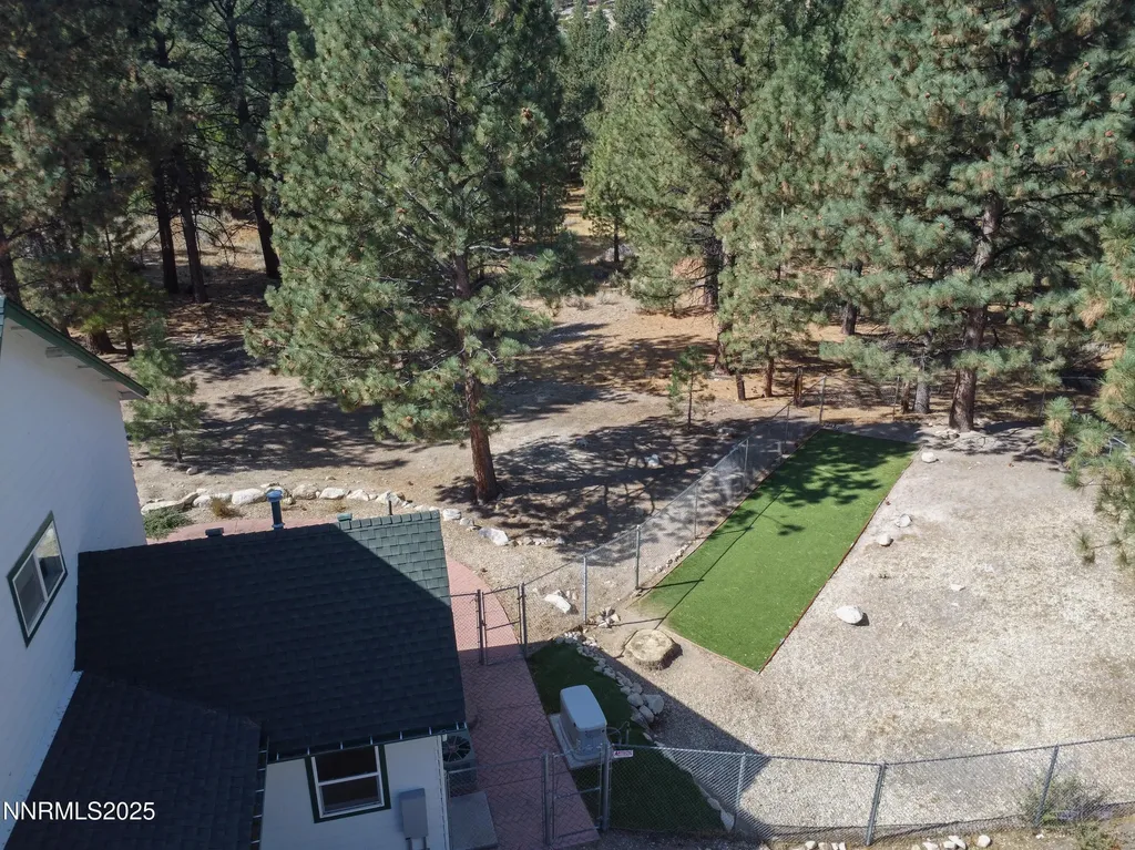 155 Old Mill Washoe Valley NV 89704