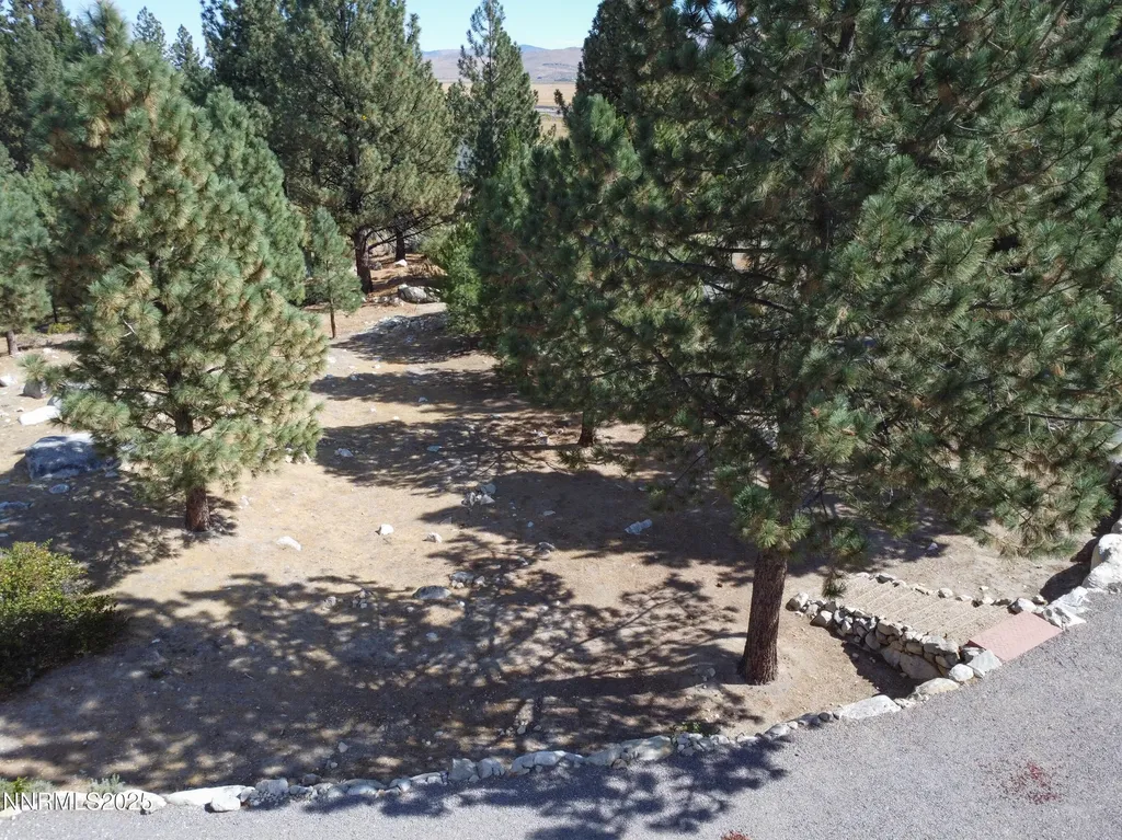155 Old Mill Washoe Valley NV 89704