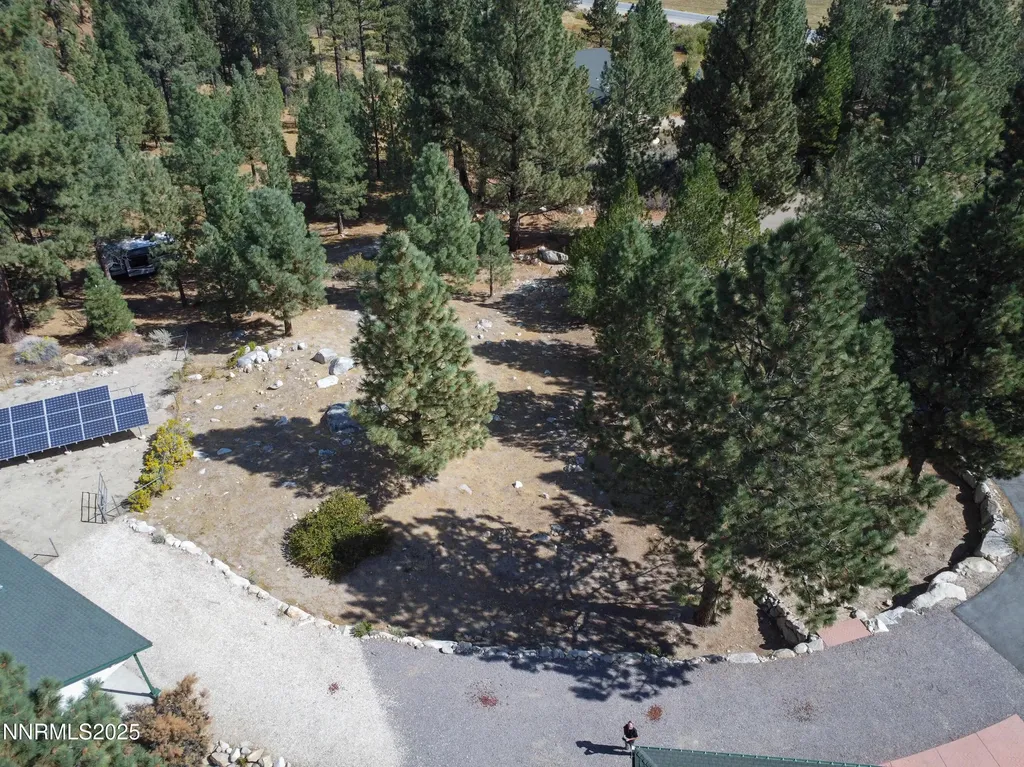 155 Old Mill Washoe Valley NV 89704