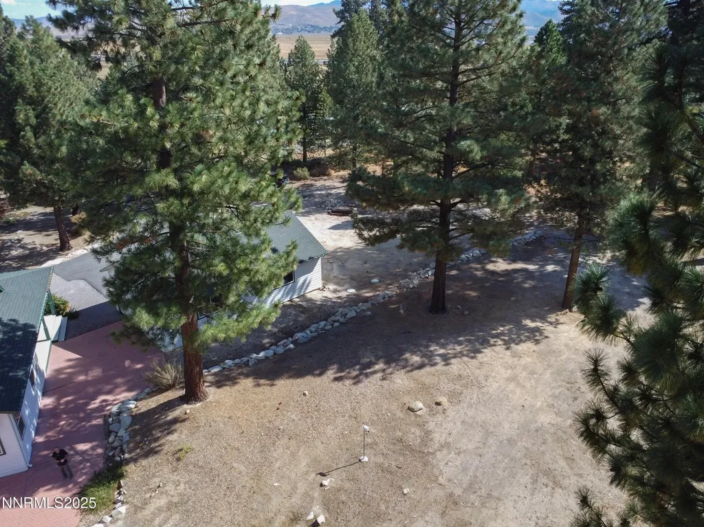 155 Old Mill Washoe Valley NV 89704