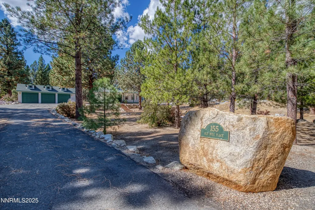 155 Old Mill Washoe Valley NV 89704
