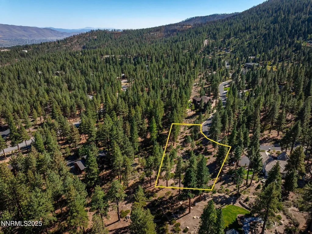293 Jeffrey Pine Reno NV 89511