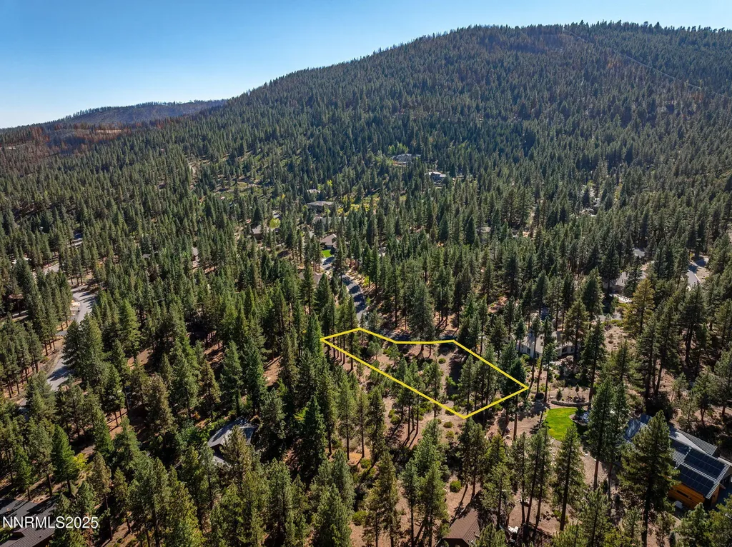 293 Jeffrey Pine Reno NV 89511