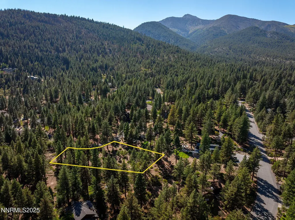 293 Jeffrey Pine Reno NV 89511