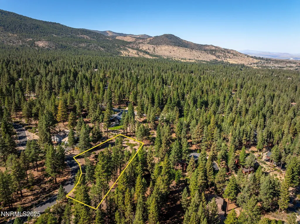293 Jeffrey Pine Reno NV 89511