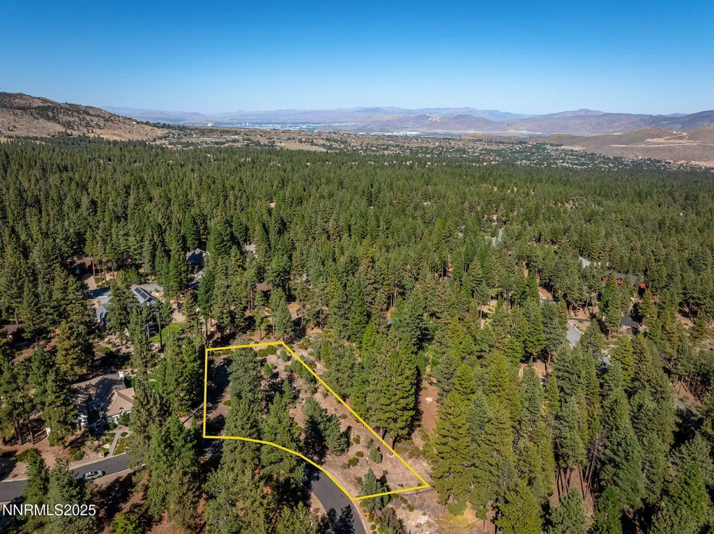 293 Jeffrey Pine Reno NV 89511