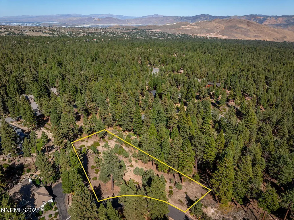 293 Jeffrey Pine Reno NV 89511