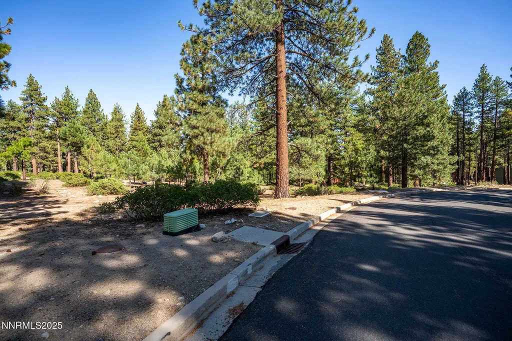 293 Jeffrey Pine Reno NV 89511