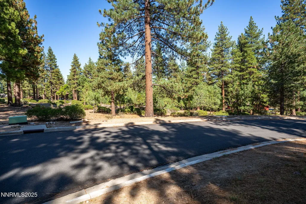 293 Jeffrey Pine Reno NV 89511