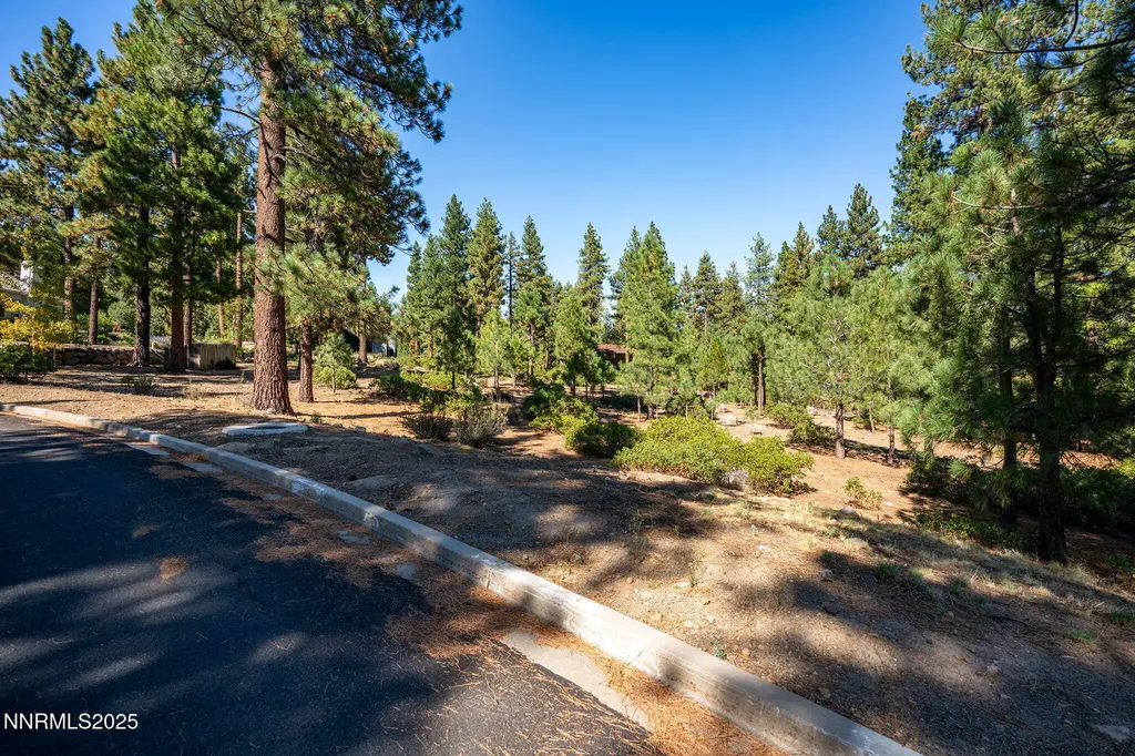 293 Jeffrey Pine Reno NV 89511