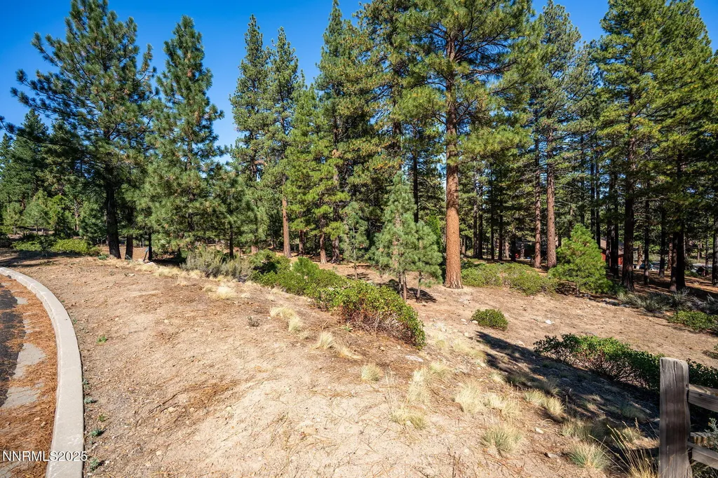 293 Jeffrey Pine Reno NV 89511