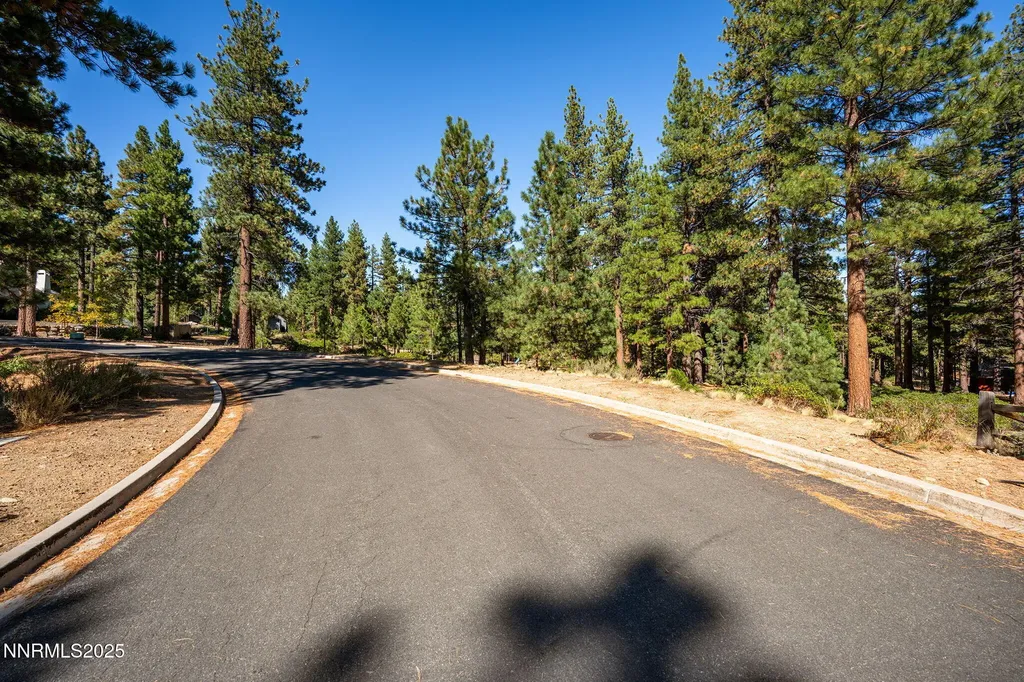 293 Jeffrey Pine Reno NV 89511