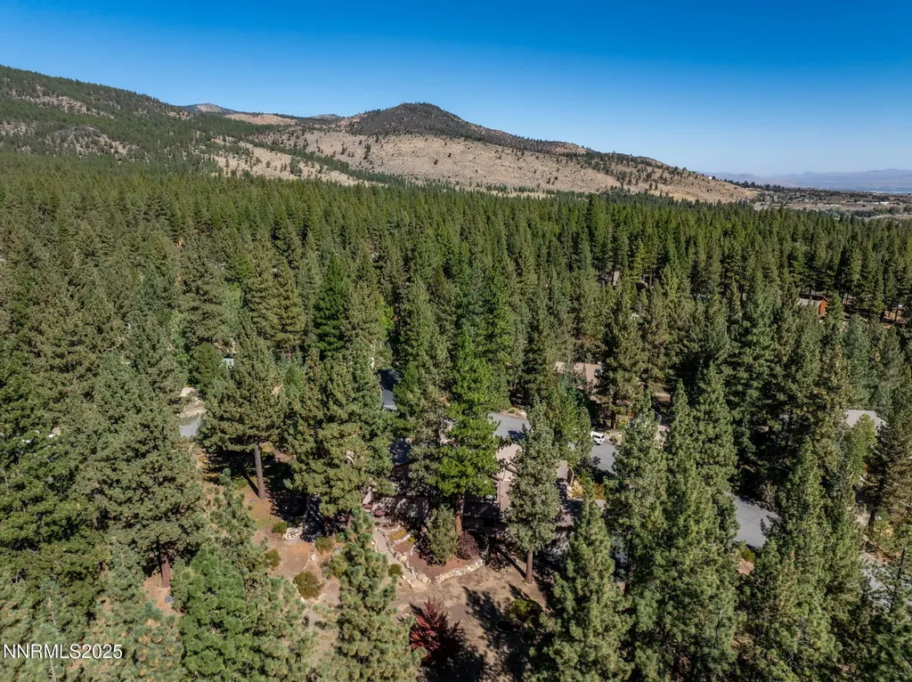 355 Blue Spruce Reno NV 89511