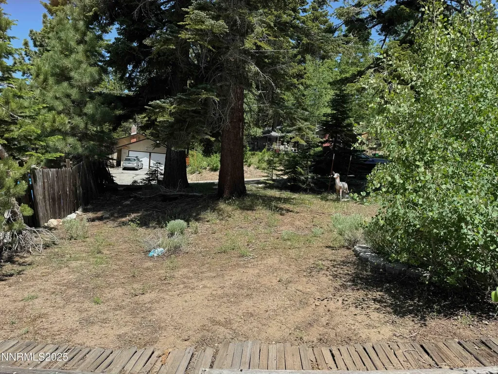 302 Griffin Stateline NV 89449