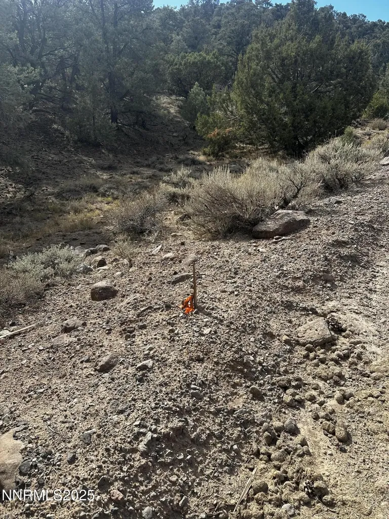2000 Scorpion Reno NV 89521