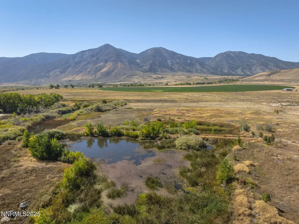 2960 Oasis Springs Minden NV 89423