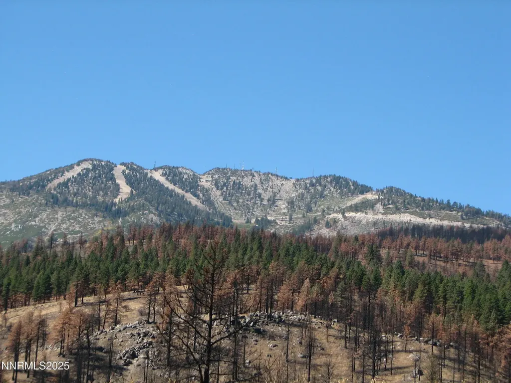 0 Joy Lake Washoe Valley NV 89704