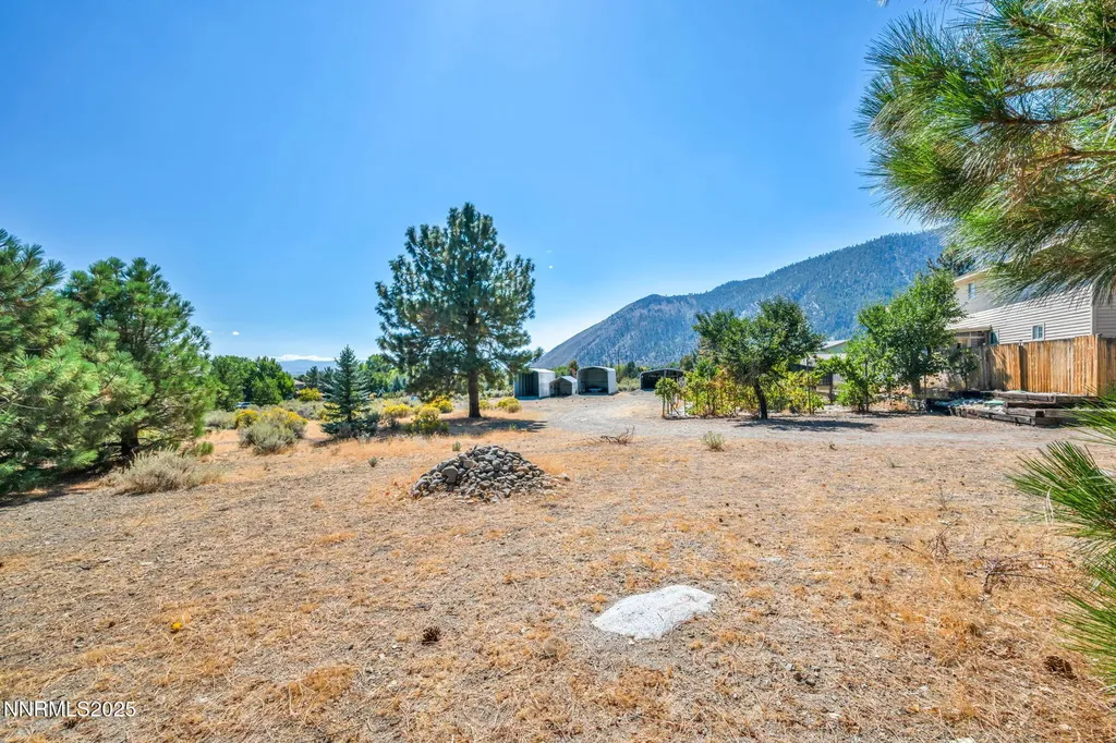2395 Jacks Valley Genoa NV 89411