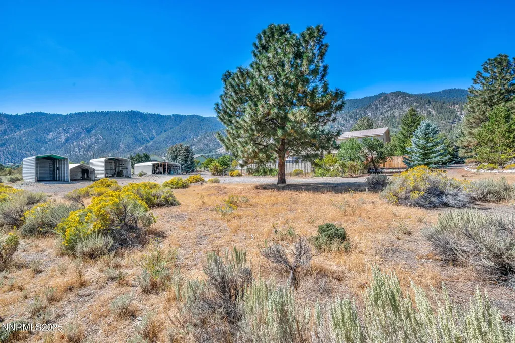2395 Jacks Valley Genoa NV 89411