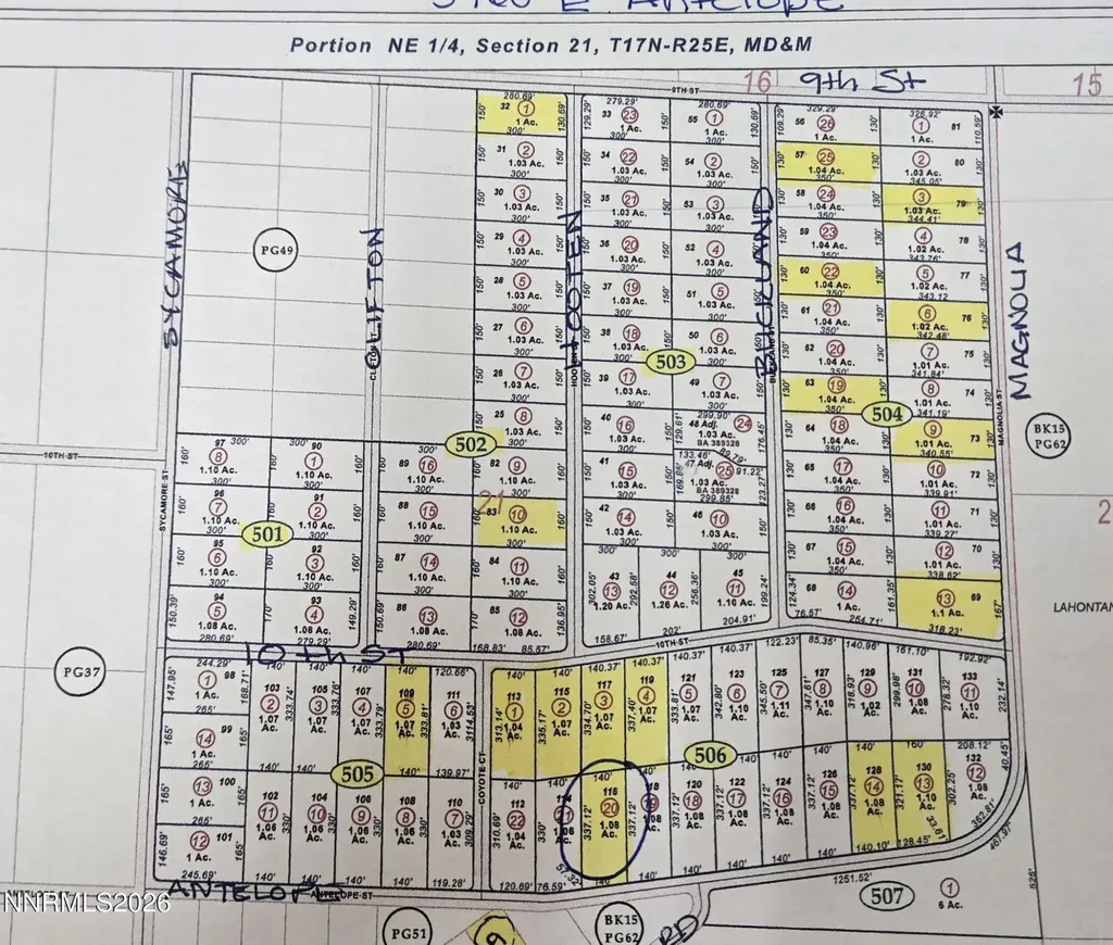 3760 Antelope Silver Springs NV 89429