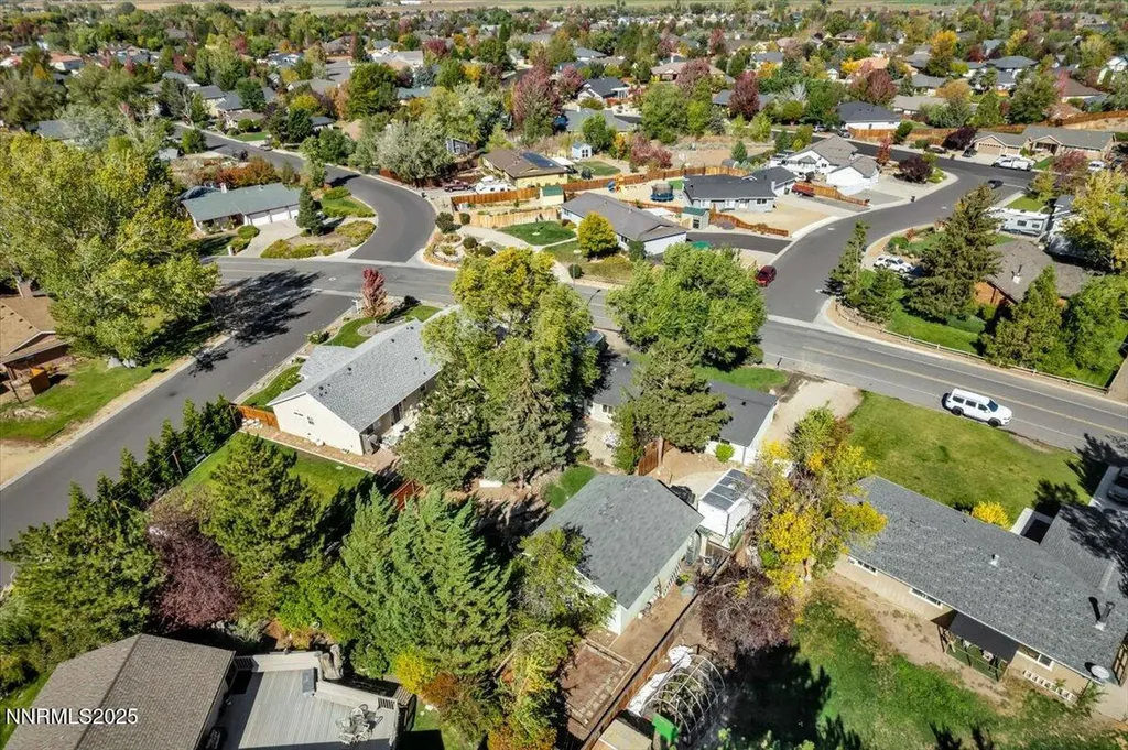 1231 Manhattan Gardnerville NV 89460