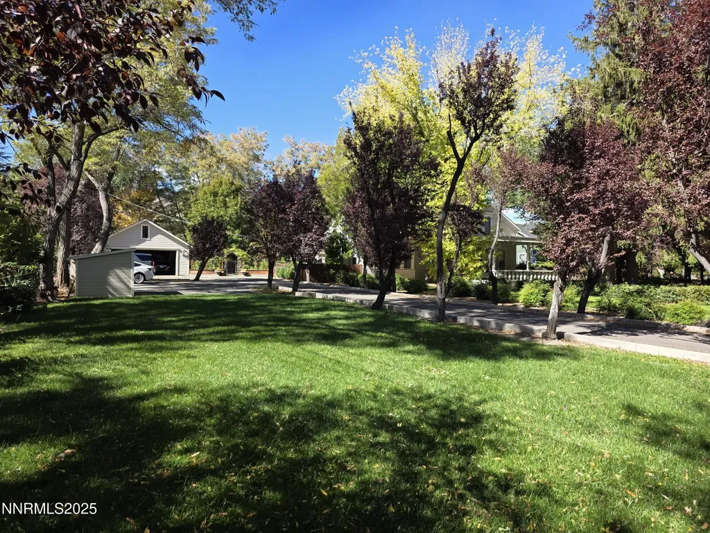 310 Mountain Carson City NV 89703