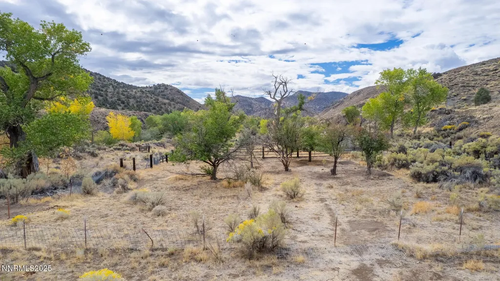 77 Ophir Mill Dayton NV 89403