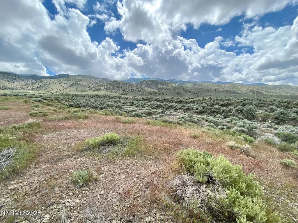 25055 Ramsey Lovelock NV 89419