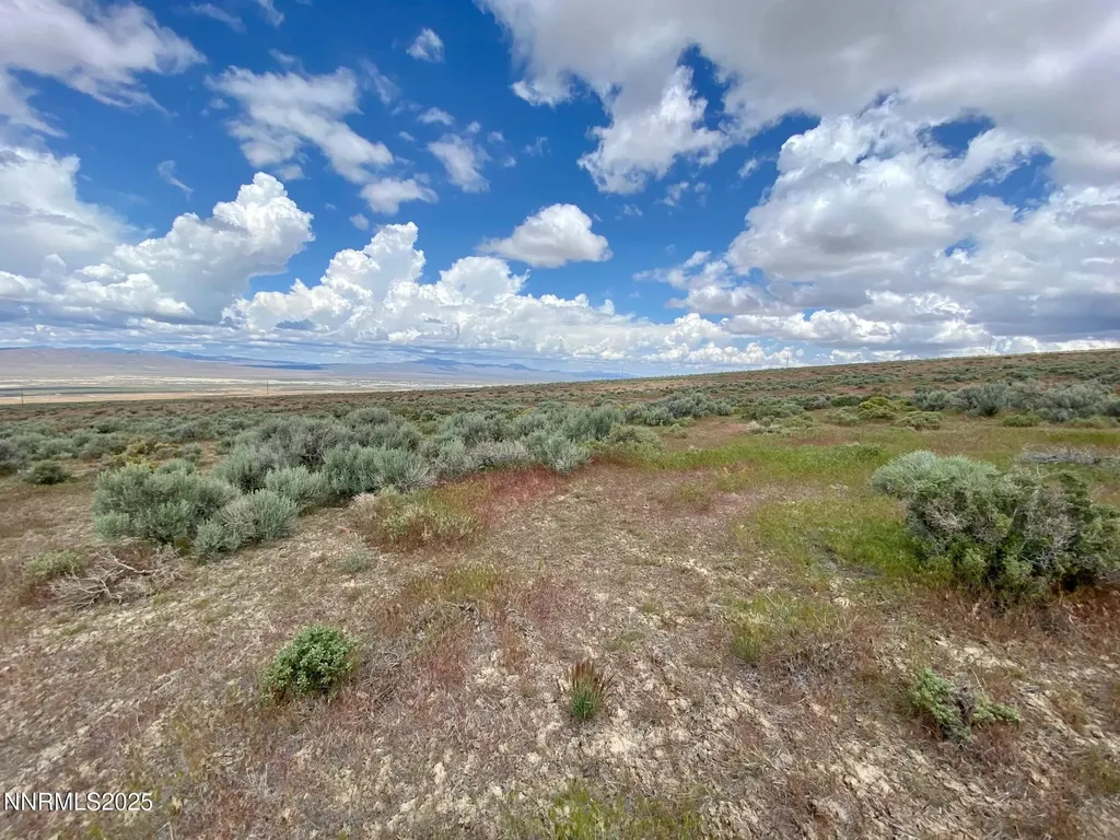25055 Ramsey Lovelock NV 89419