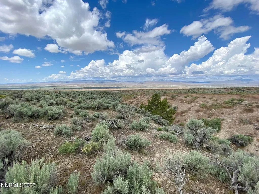 25055 Ramsey Lovelock NV 89419