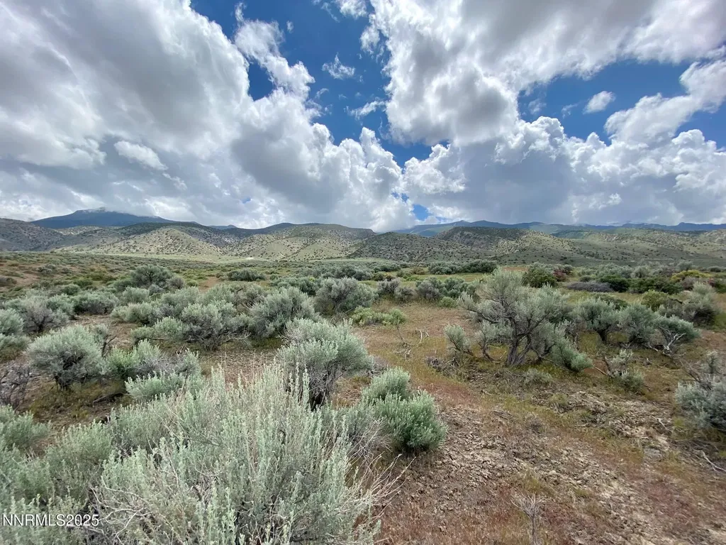 25055 Ramsey Lovelock NV 89419