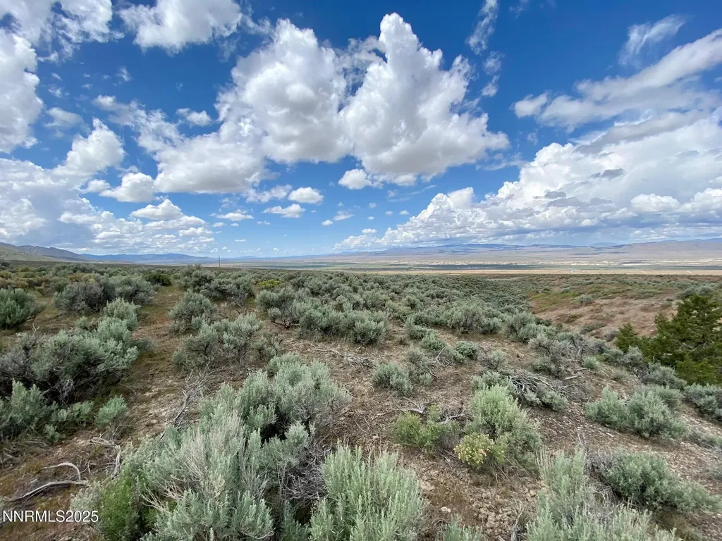 25055 Ramsey Lovelock NV 89419
