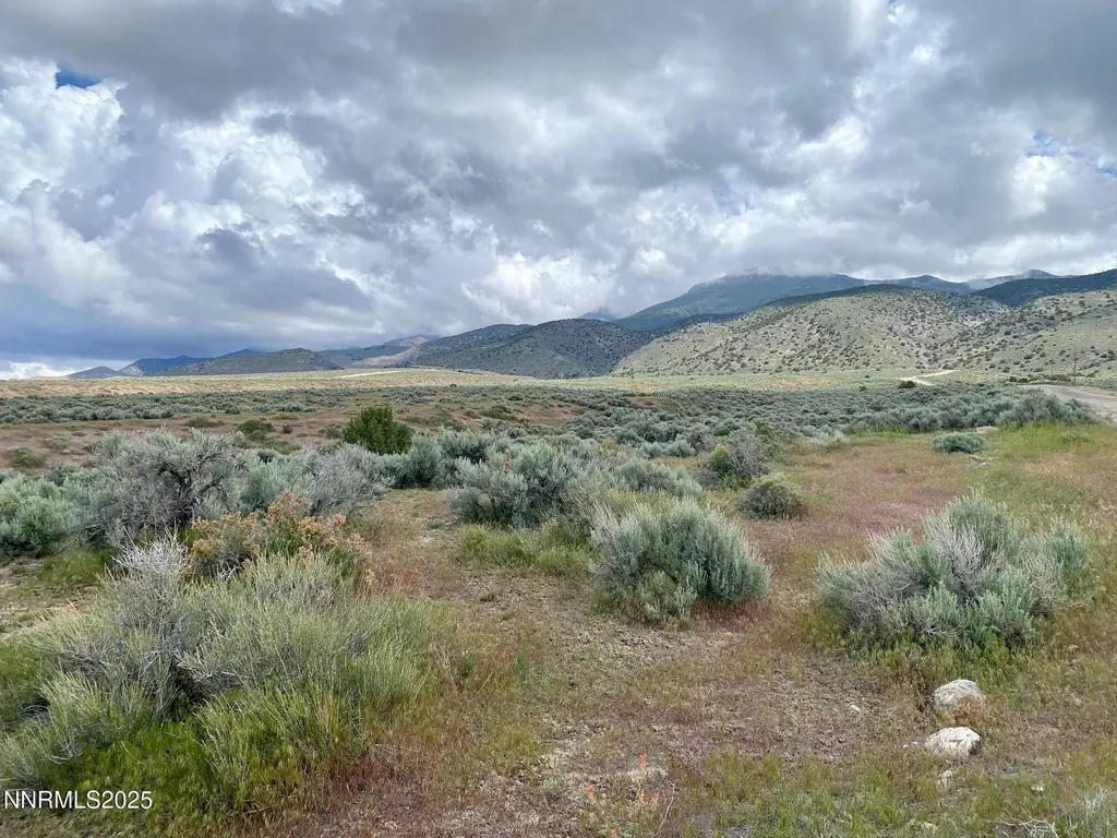 25055 Ramsey Lovelock NV 89419